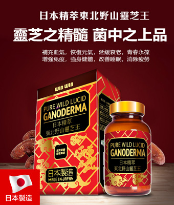 【WINWIN】日本精萃東北野山靈芝王 菌中之上品
